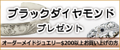 �Х�󥿥��󥹥ڥ����Zippo