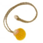 【サンライズシェル】 【サンライズシェル】