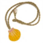 【サンライズシェル】 【サンライズシェル】