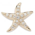 【ゴールド】【トップ】スターフィッシュ  【ゴールド】【トップ】スターフィッシュ